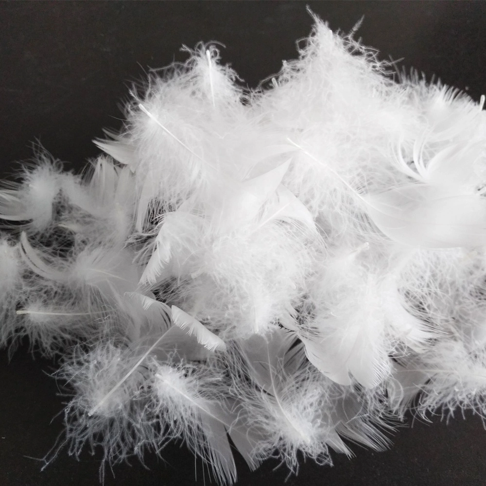 Factory Directly Supply Cheapest RDS White Washed 2-4cm Duck Feather