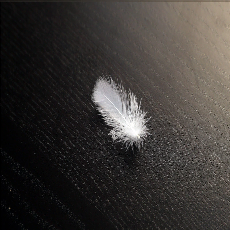 Factory Directly Supply Cheapest RDS White Washed 2-4cm Duck Feather